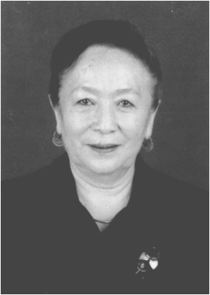 阿提克姆·則米爾