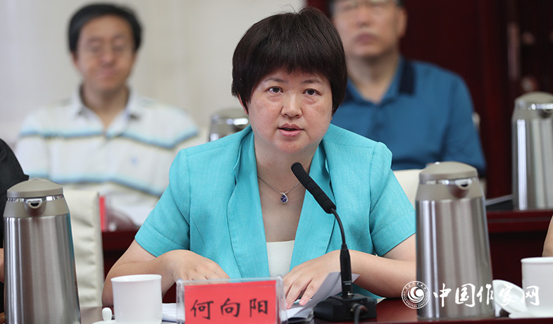 7月28日，評獎辦公室主任何向陽在全體會上做關于參評作品申報情況及其它事項說明