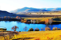 一樹繁花/李春雷/