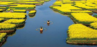 這批作家的地域文學創作得到了文學界的充分認可，一個充分體現文學地理特點的文學流派—“里下河文學流派”逐漸形成。