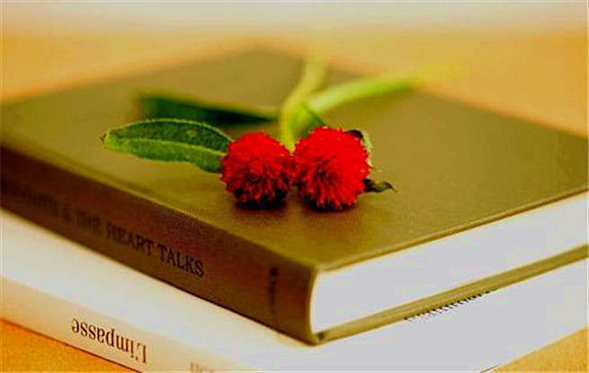 北京出版集團世界圖書和版權日紀念講壇：閱讀，溫潤心靈