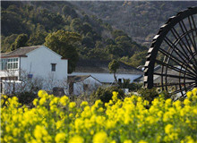 創意閱讀與寫作工作坊｜今天，我們如何面對新時代的鄉村？從與鄉村有關的人物開啟敘述，再指向具體村落，展現鄉土文化……[詳細]