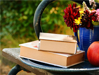 全國政協委員陳崎嶸：籌建網絡文學博物館 