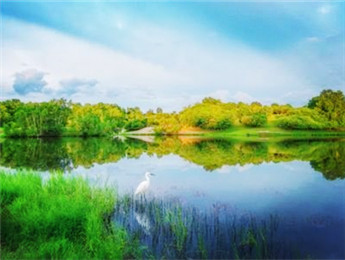 創作后記：水的行走