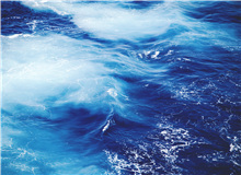 【輯二】東流去：這藍色一刻不停地沖刷著岸弄丟了愛情/只剩下獨自一人，越來越孤零/大片野花初開，一朵一朵，全都愛我/[詳細]