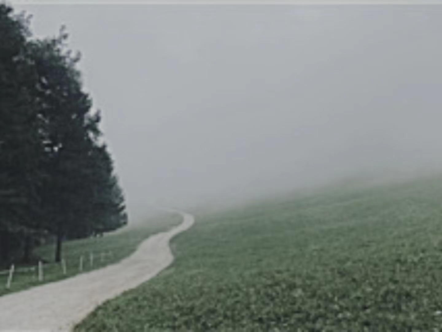 【輯一】南部山區：有時在大風中，群山似乎在奔跑走在山間公路上/山崖在左，溪水在右/轉過兩座山，山崖到了右邊，溪水來到左邊[詳細]