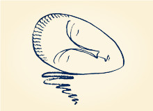 《春夢——兼致張棗》“你慢慢變成了義山，李煜/穿長衫的張棗，那個黑著臉/在水邊迷路，在木梯子前發呆/在南山的梅樹下失憶”[詳細]