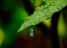 《谷雨》過了清明，就是谷雨。村莊里，田野里，村路上，草木間，人家的院落里，人們的臉上，到處都是春天的閑意思了。[詳細]