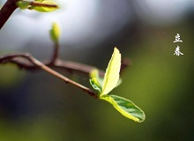 《立春》大年三十這一天，天難得放晴了。村子里到處明晃晃的，陽光映照著雪地，仿佛琉璃世界。[詳細]