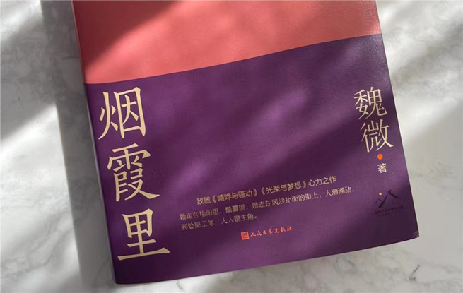 【特約評論】魏微：抒情為表，史詩為里