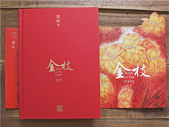 《金枝》：“虛置的父權”，使父親的角色無比尷尬