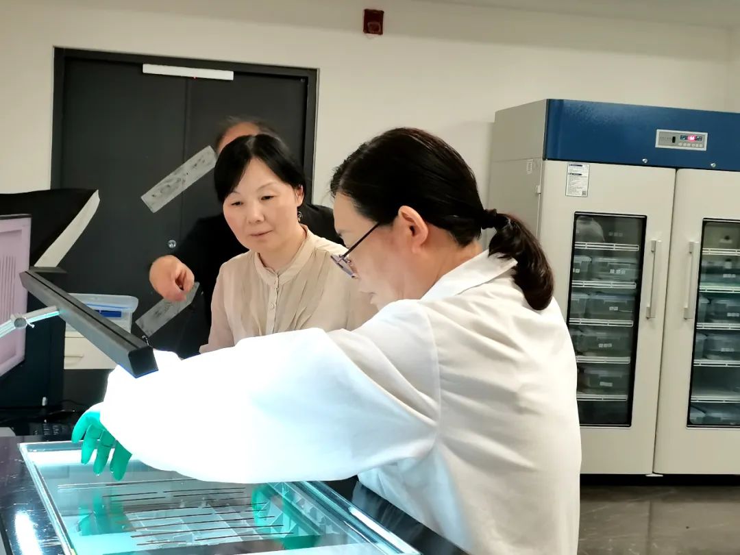 6月26日，江西作家王蕓在?；韬顕z址公園內的竹簡修復室采訪