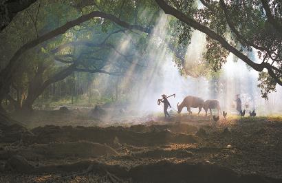 只有真正貼近鄉土現實，才能寫出好的鄉土文學。 視覺中國供圖
