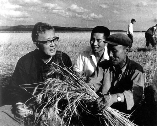 多年來華羅庚為推廣“優選法”和“統籌法”，經常深入廣大工廠、農村，圖為華羅庚與農民在一起（右下）
