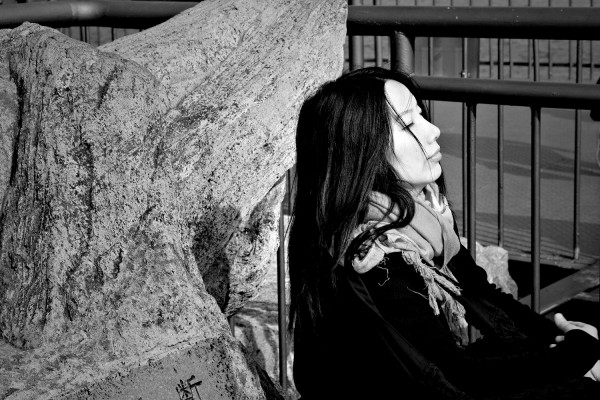 李鳳群，安徽無為人，安徽省作家協會副主席，現居南京。著有《大江》《大風》《大野》《月下》等多部長篇小說。曾獲第三、第四屆紫金山文學獎，江蘇省“五個一工程”獎，安徽省首屆魯彥周文學獎長篇小說獎，第七屆魯迅文學獎中篇小說獎提名，《人民文學》2018年度長篇小說獎，南方文學盛典2020年度小說家提名獎，中國好書獎等獎項。