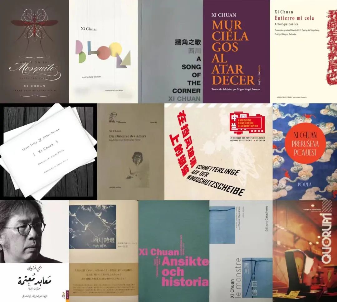 西川在國內外出版的部分圖書