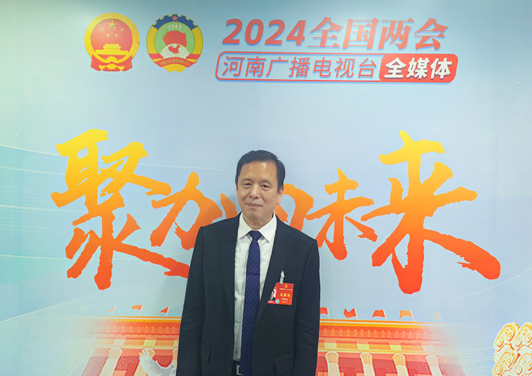 全國人大代表李敬澤