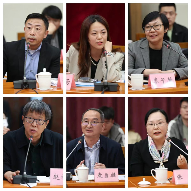 游江、程皎旸、廖子馨、趙稀方、袁勇麟、張莉發言