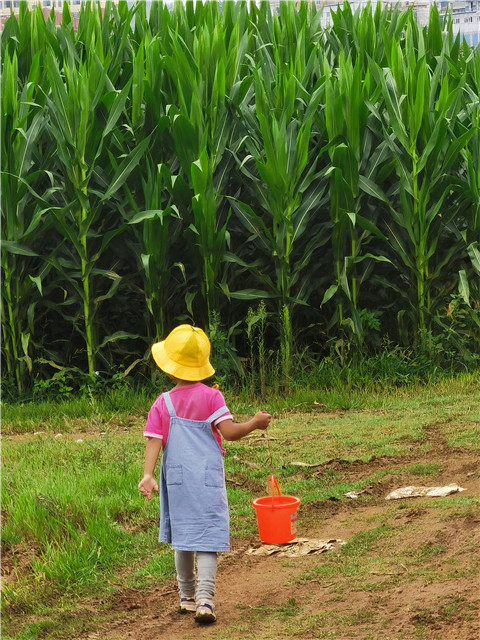 孩子們的背影。劉雪韜周末經常和愛人一同陪伴孩子去他們喜歡的地方騎車、玩耍。對他們來說，相聚的時光遠比一些熱鬧的應酬重要。