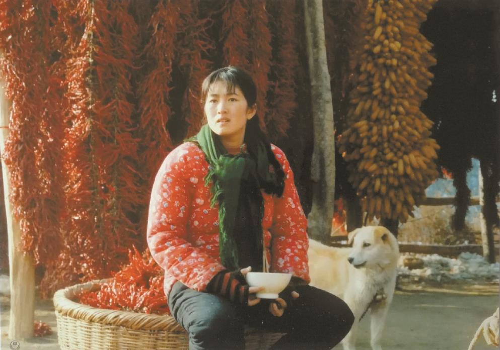 劉恒擔任編劇的電影《秋菊打官司》曾獲得第49屆威尼斯電影節金獅獎、第13屆中國電影金雞獎最佳故事片獎等獎項。