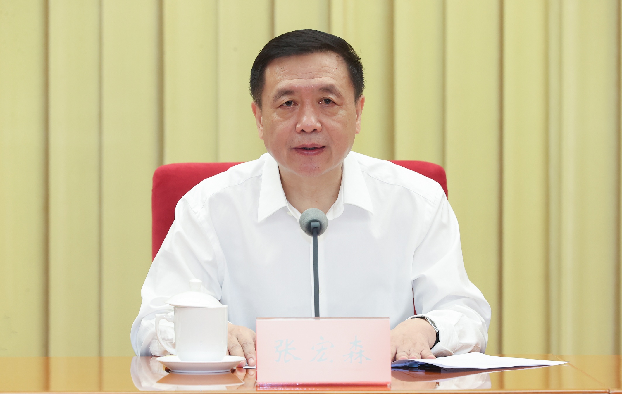 張宏森：青年作家要勇擔新的文化使命