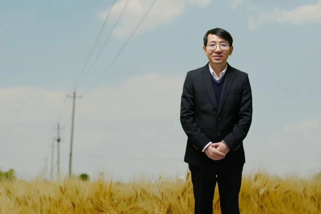 羅長青，男，1981年生，湖南衡陽人；博士畢業于南京大學，曾在復旦大學中國語言文學博士后流動站從事博士后研究，曾任貴州師范大學文學院教授，博士研究生導師；現為廣東外語外貿大學中國語言文化學院教授；主要從事中國當代文學與文化現象研究。