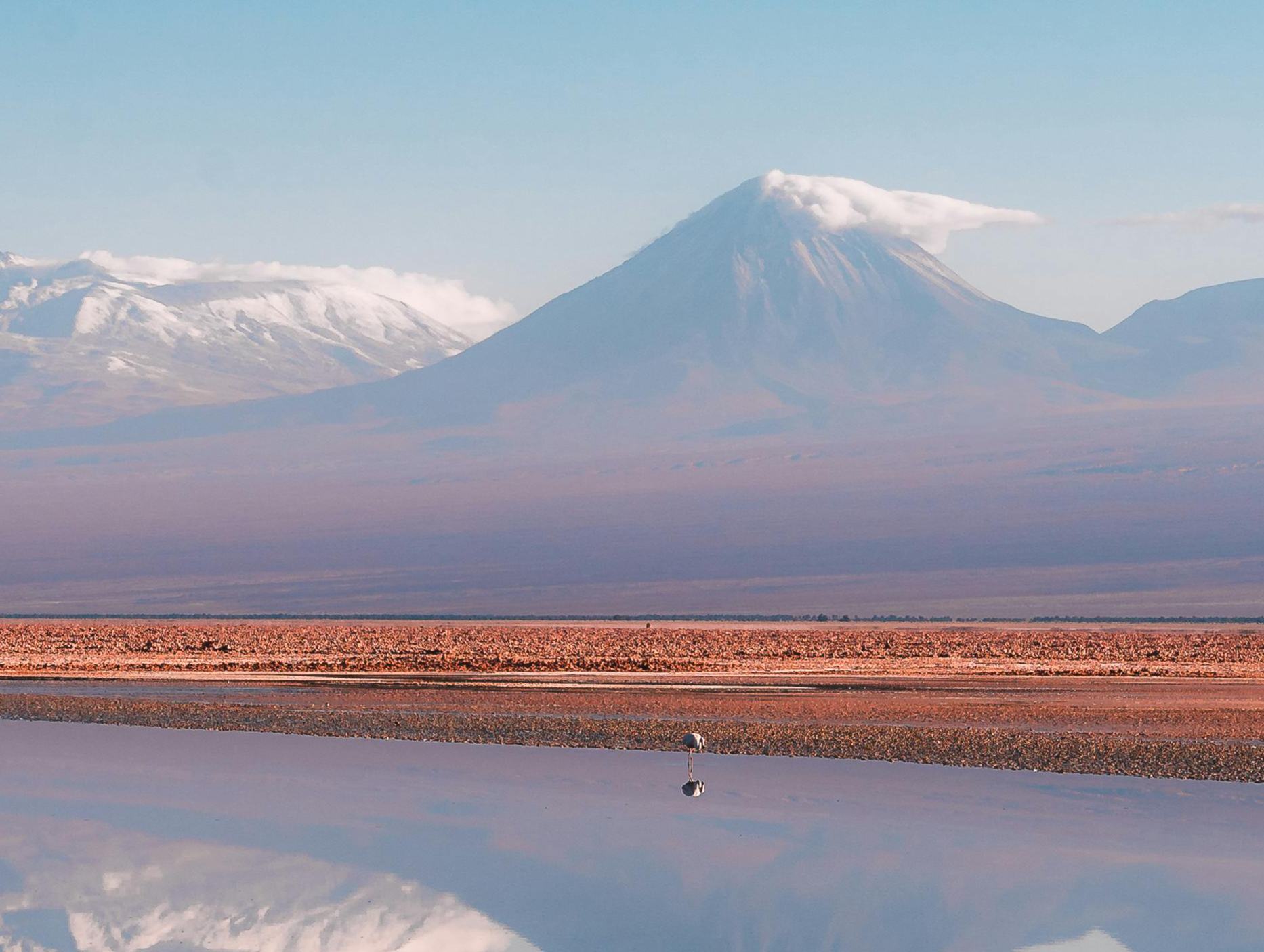 回眸2024：翻閱長篇小說的三種方式