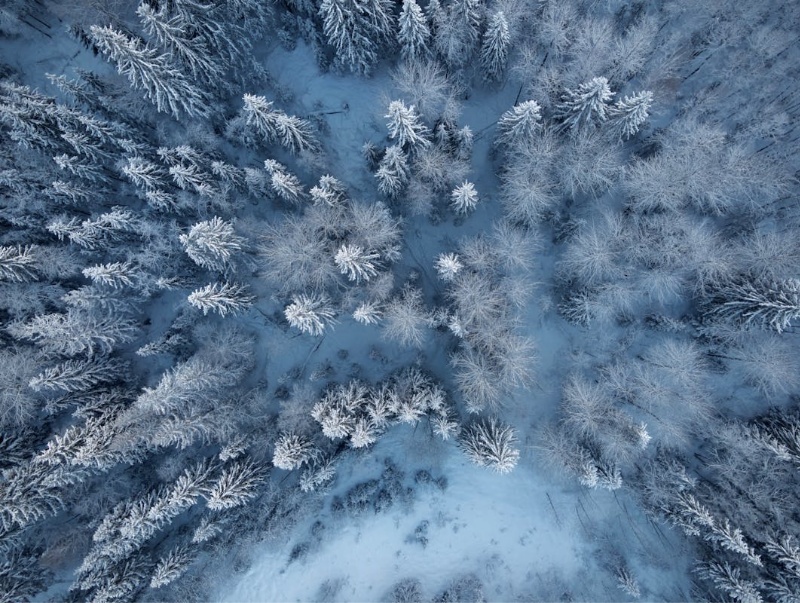 我的“關鍵之書”（三）