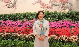 全國政協委員、網絡文學作家蔣勝男