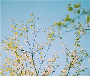 談文創設計中的情感導向：傳遞文化情感和情緒價值