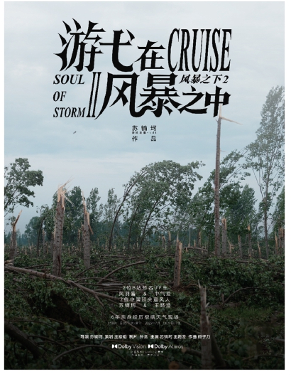 《游弋在風暴之中》海報