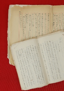 一份日記，如同顯微鏡下的“抗戰長城”　　1939年，作家戰地訪問團北上前線途中，盡管危險重重，又緊張又勞累，王禮錫仍然想盡辦法詳細記錄下訪問團的活動和他自己的生活，或許他未曾想過這些文字會穿越戰火，歷經風風雨雨八十余載，成為一把打開抗戰歷史的特殊密鑰。[詳細]