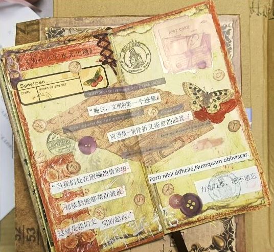 閱讀摘抄手賬，來源：讀者“朝夕昭奚”微博