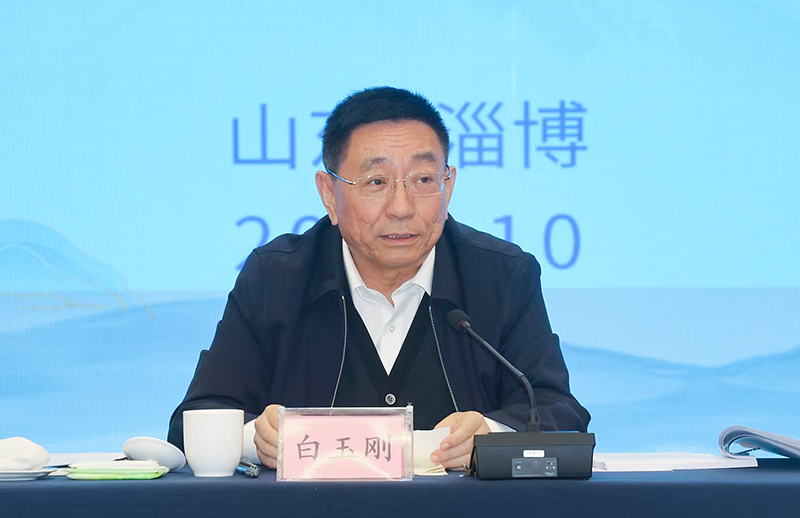 山東省委常委、宣傳部部長白玉剛作總結講話