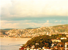 我的散文的生命力來自于田野調查　　蟋蟀叫著，兮兮兮。月影上來了，印在窗戶上，如一朵潔白的窗花。[詳細]