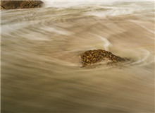 “抵抗遺忘”是對寫作者的最高要求　　對傅菲而言，“元”是周而復始之始，代表初心，“燈”乃光明之源……[詳細]