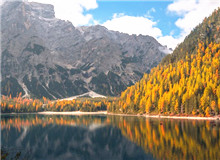 在自然文學和生態文學之間　　在自然文學領域，我耗費了大量時間和心血，但遠遠談不上“中國的《瓦爾登湖》”……[詳細]