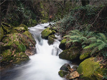 在自然的詩行里，我們都是蹩腳的讀者……