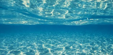 網絡文藝的魅力在于打破邊界、匯聚力量